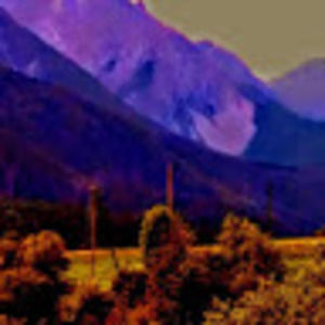 Meet your Posher, Alina